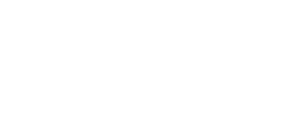 Dealer Flow logo